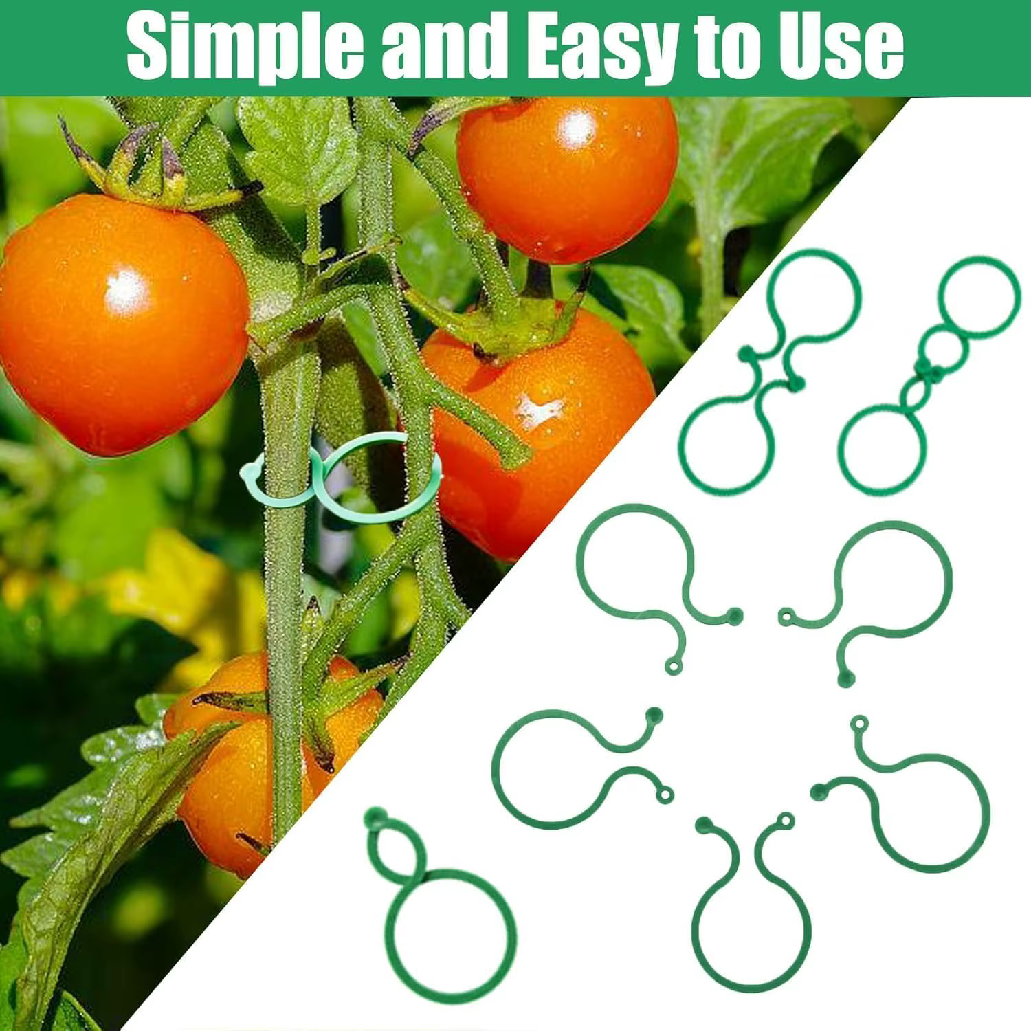 Clips de jardinage pour plantes grimpantes