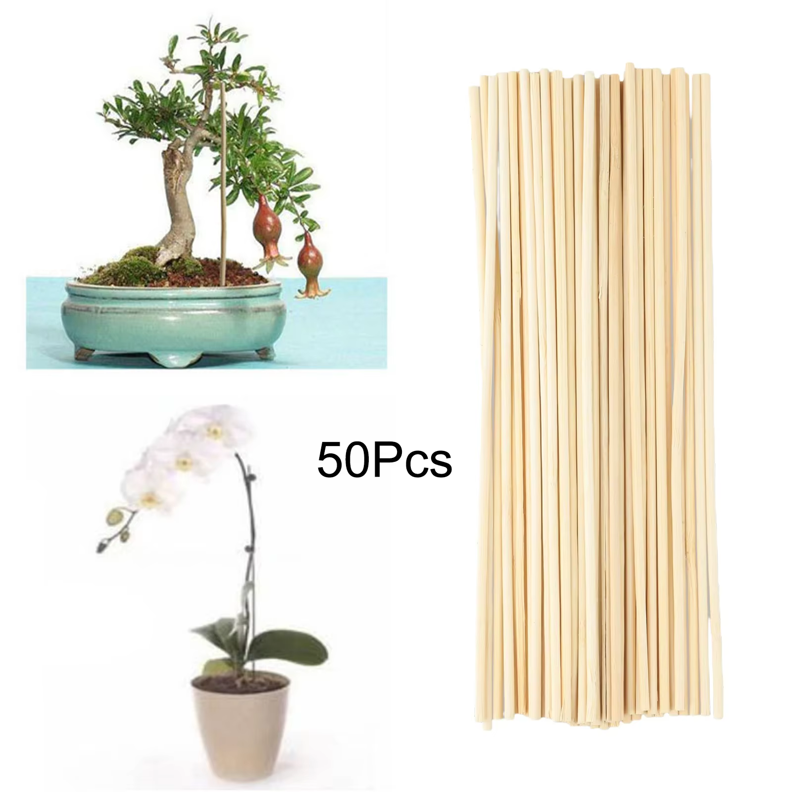 Bâtons de support de plante de jardin en bambou