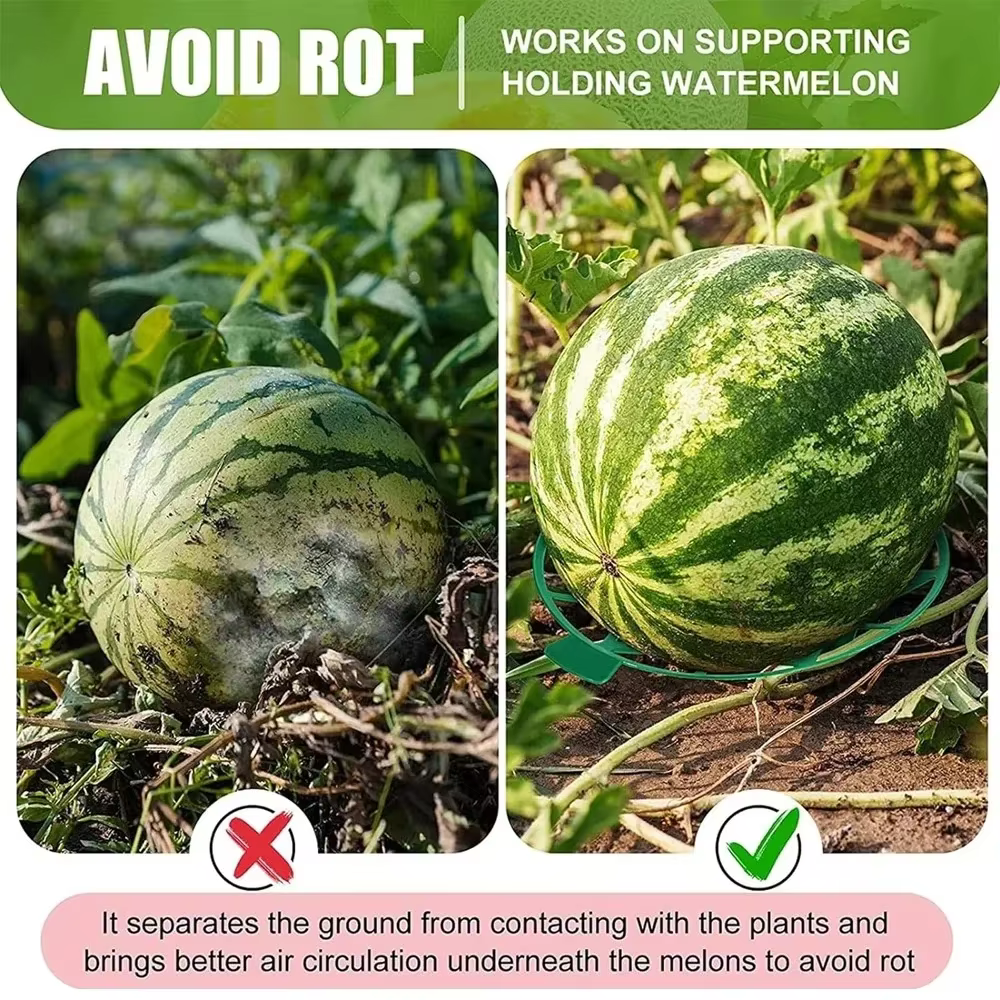 Lot de 5 supports pour melons