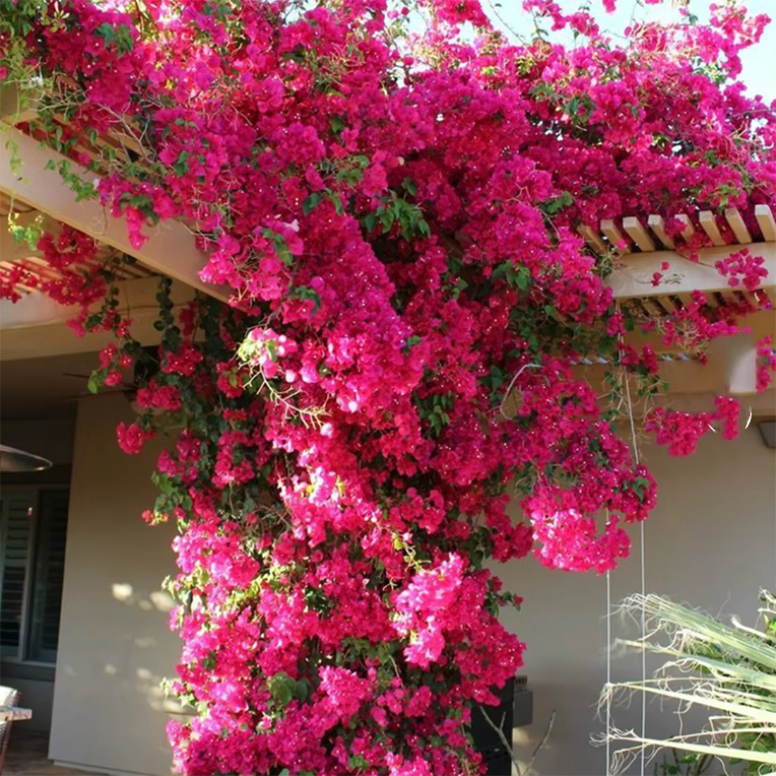 Décor d'arbre de fleur de bougainville artificielle avec 30 Branches + 4 vigne