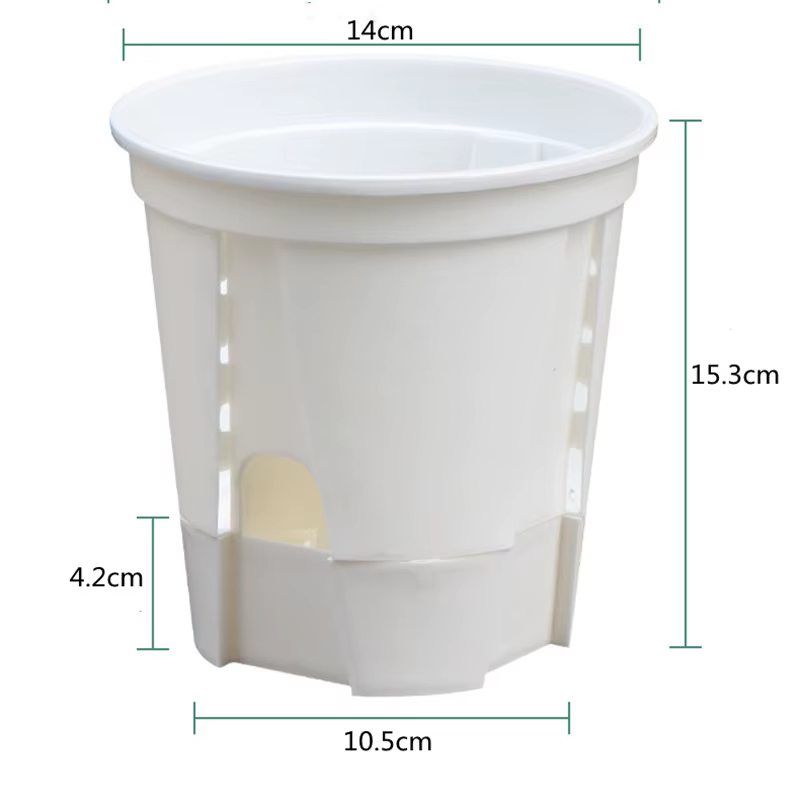 Pot d'orchidée transparent avec trous