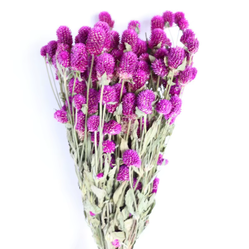 Bouquet de fleurs séchées d'amarante