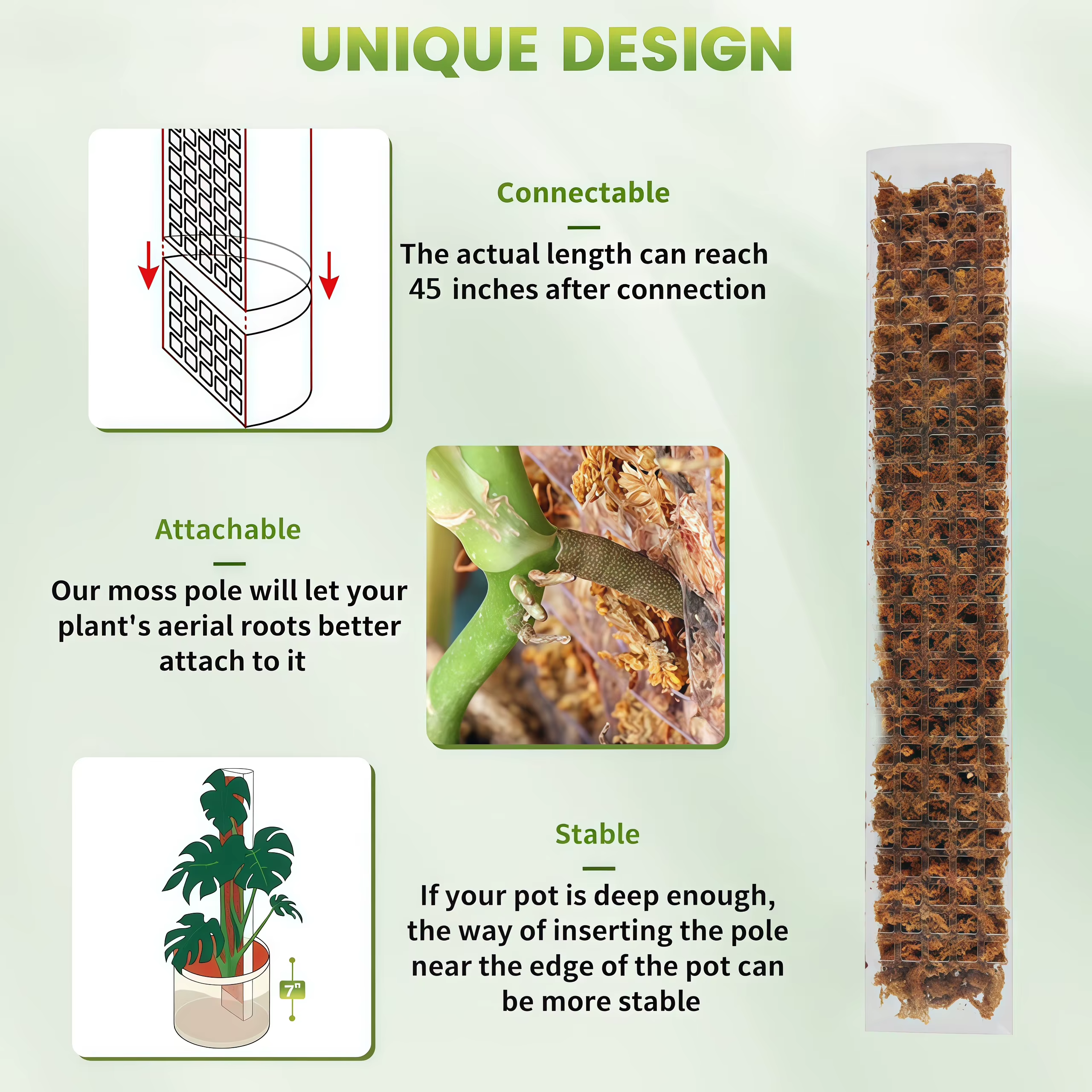 Support en plastique pour plantes grimpantes d'intérieur