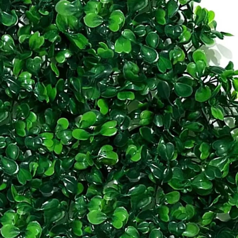Mur végétal vert, tapis de salon haut de gamme