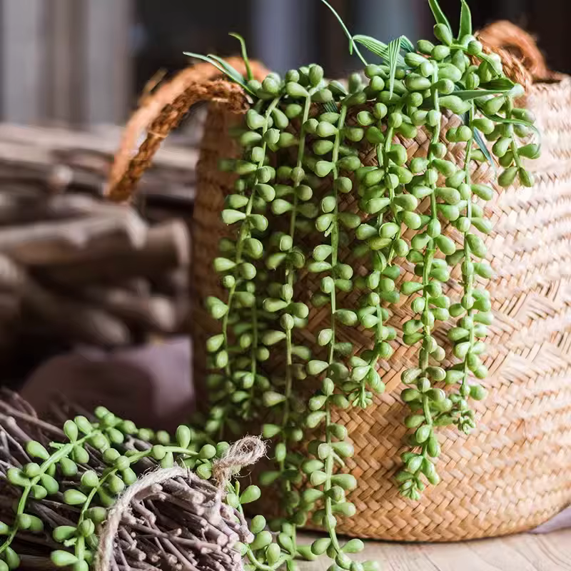 Plantes succulentes artificielles suspendues