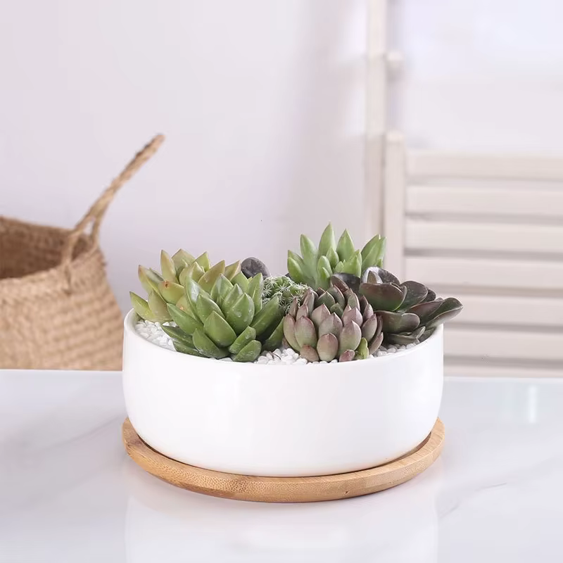 Pot de fleurs rond en céramique blanche