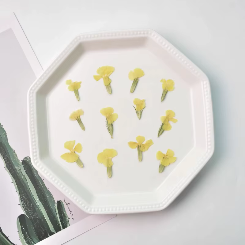 24 pièces/2-3CM, œillet naturel fleur séchée en relief acacia prune vraie