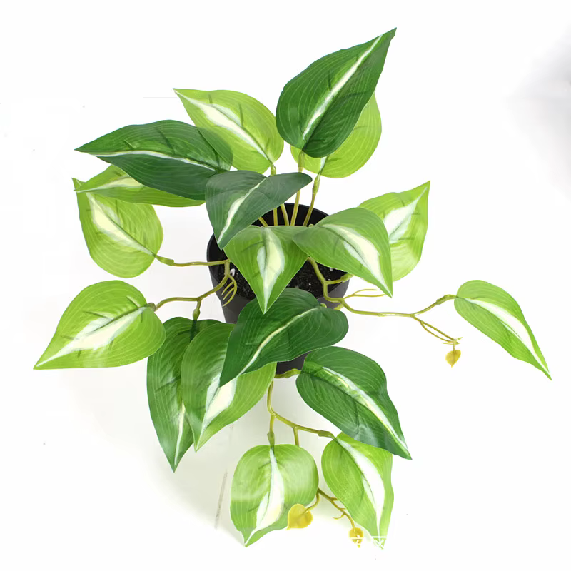 Mini vignes en plastique 26CM