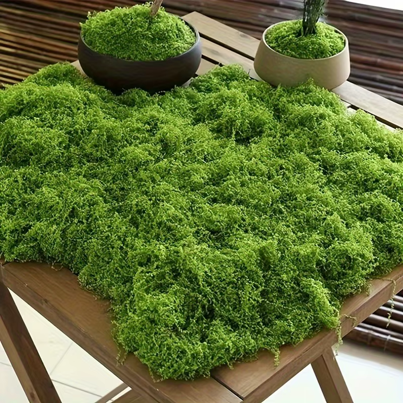 30/50/100g plante de mousse artificielle verte fausse