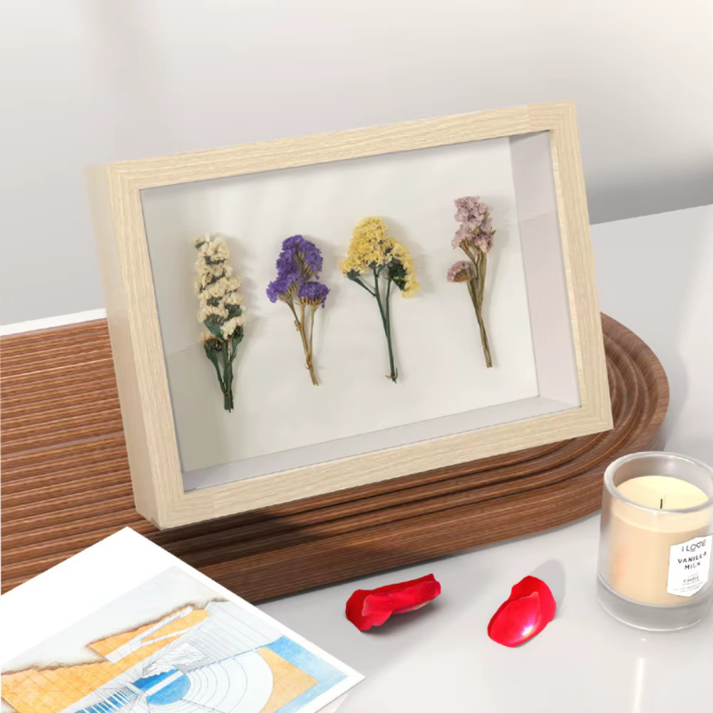 Boîte de rangement en bois pour spécimen d'ombre de fleur de noix de coco