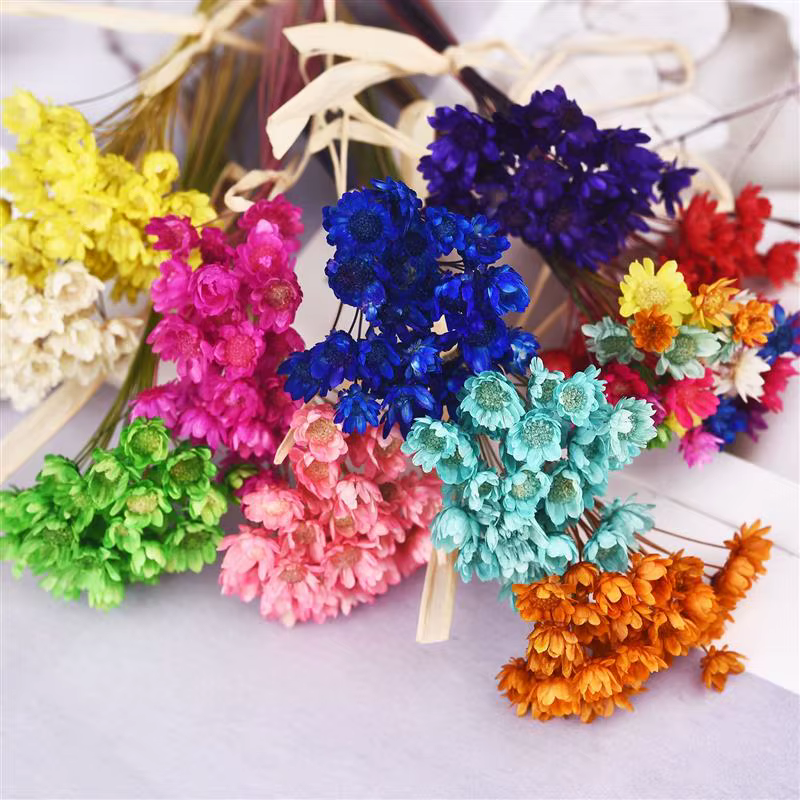 Bouquet de Fleurs vaccées Naturelles de Style Nordique
