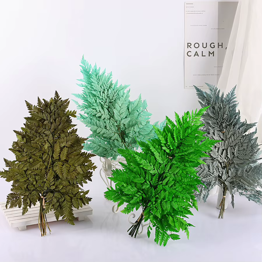 10 pièces de feuilles de fougère alpine éternelle