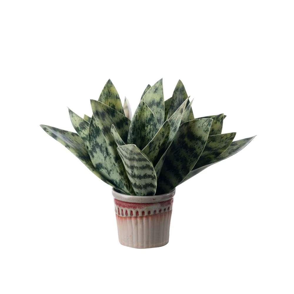 Plante Serpent Artificielle pour Décoration Intérieure