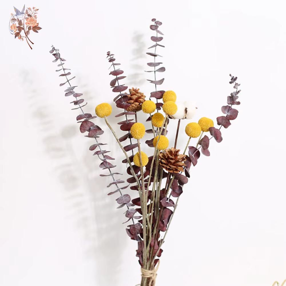 Bouquet de fleurs séchées