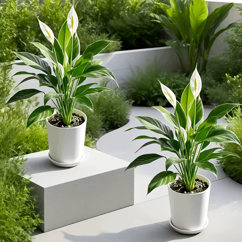 Plante artificielle réaliste en feuilles de palmier blanches