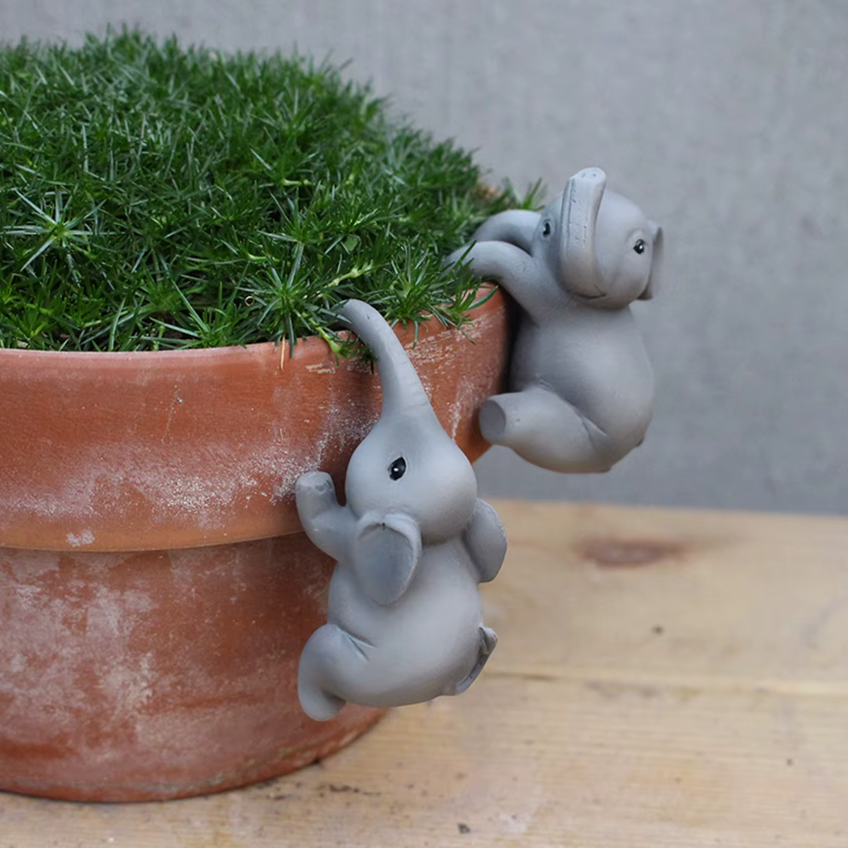 Pot de fleur d'éléphant créatif