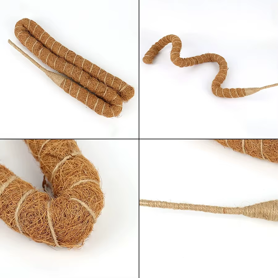 Canne de palmier grimpante pliable pour plantes d'intérieur