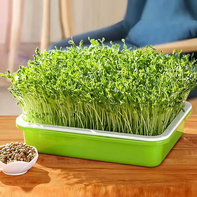Plateau de germination de jardin