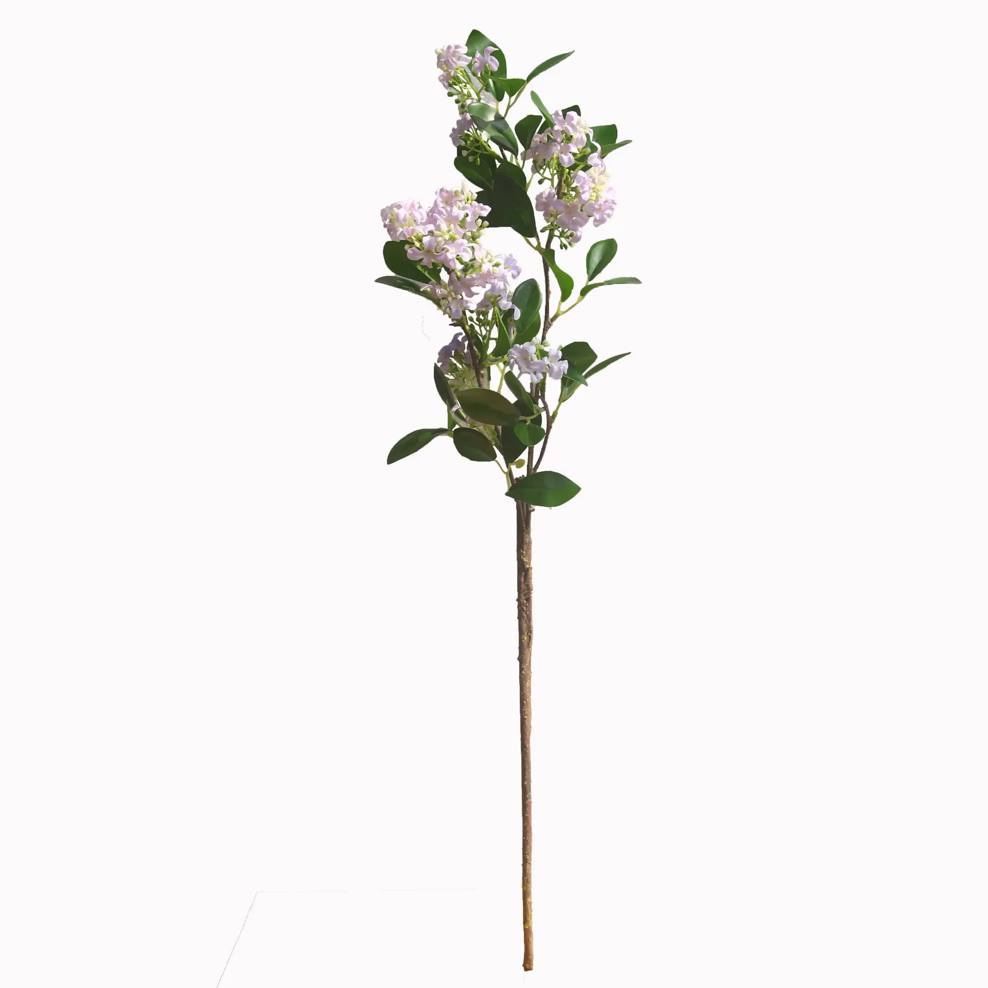 Branche de Murraya Artificielle