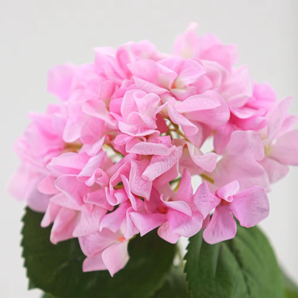 Hydrangeas artificiels hydratants au toucher réel