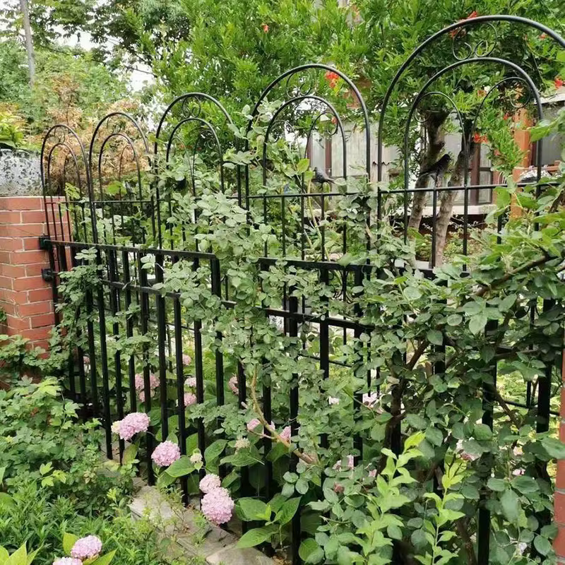 Clôtures de jardin d'extérieur en fer pour plantes grimpantes et fleurs