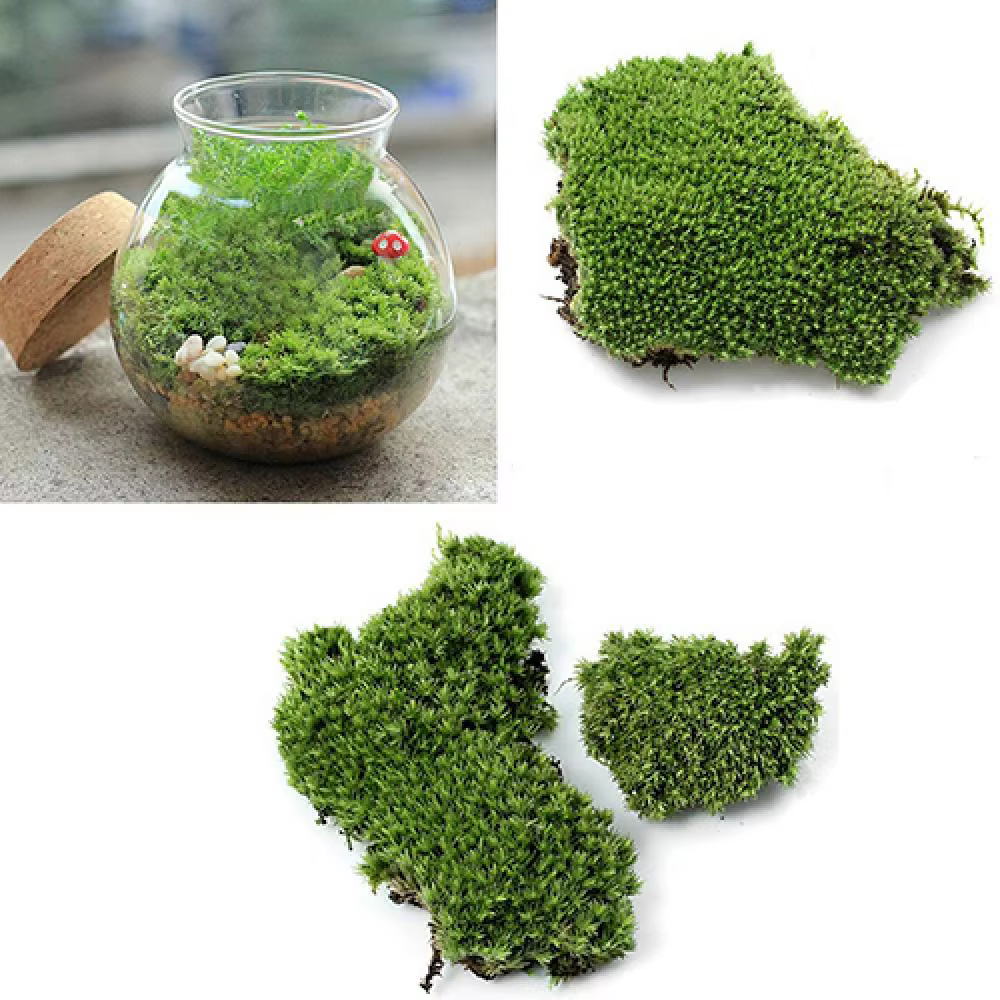 Plante verte artificielle en mousse d'ange