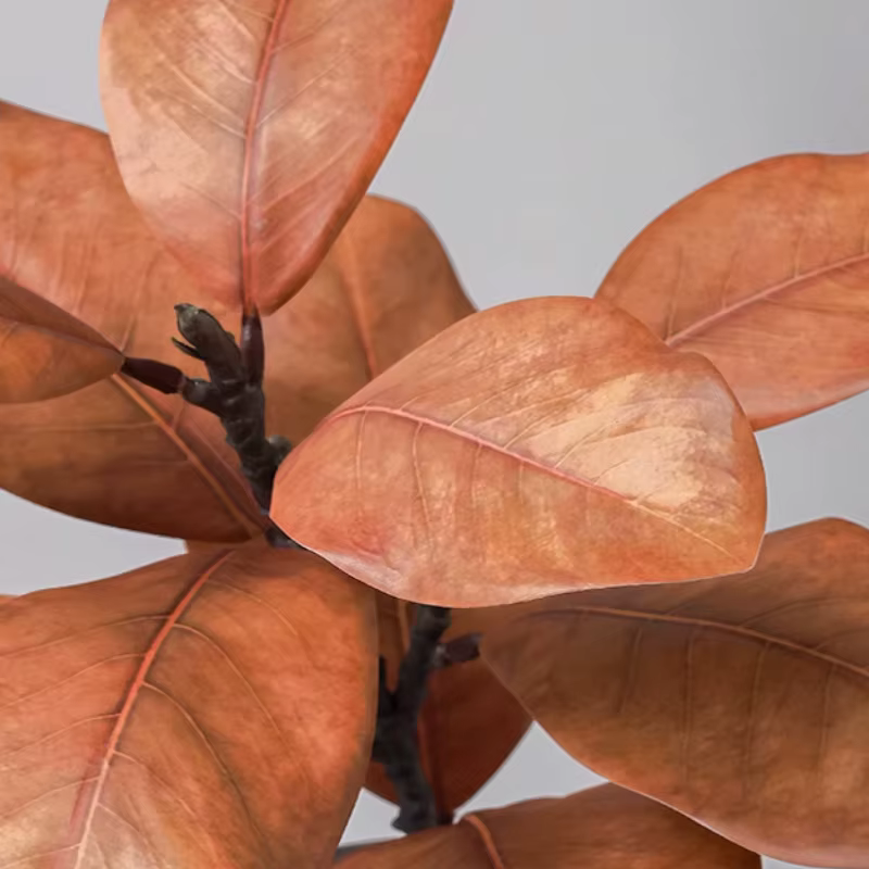 Plantes vertes de Simulation