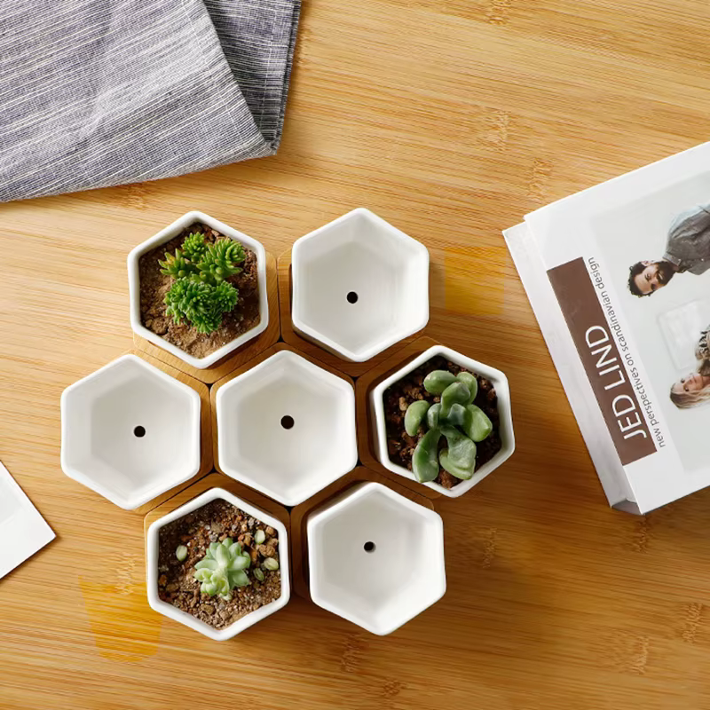 Pot de fleurs en céramique blanc hexagonal avec plateau