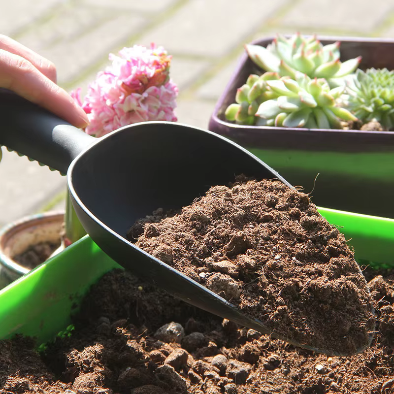 Pelle d'ameublissement du sol pour la plantation de fleurs