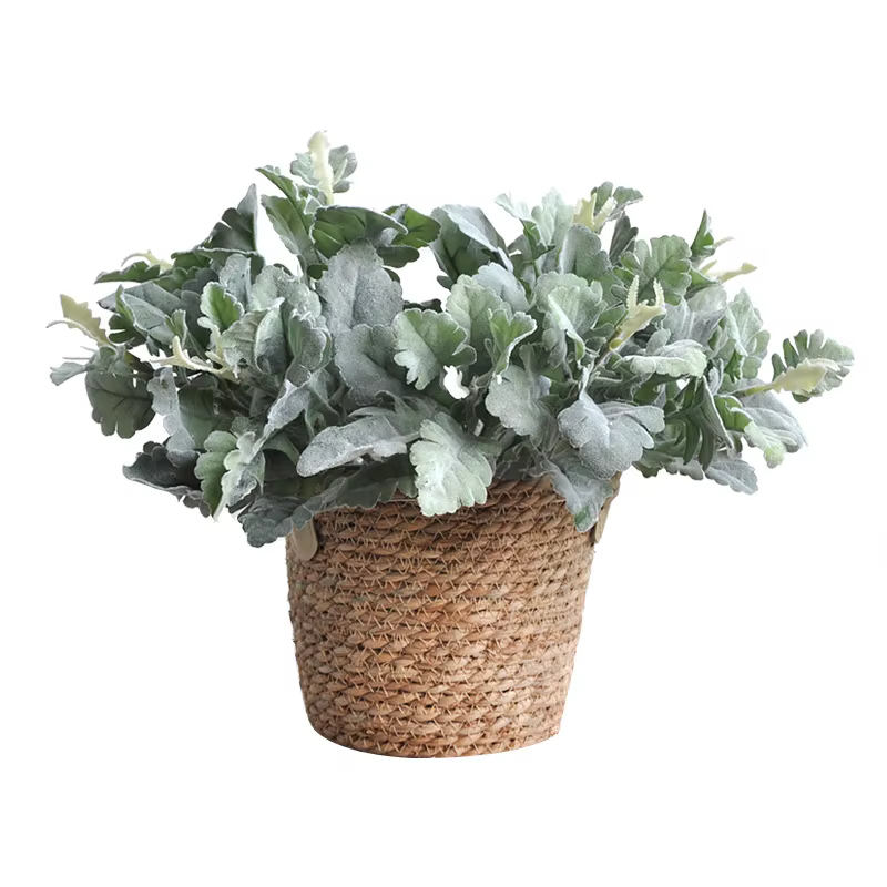 Plante artificielle de Senecio Cineraria