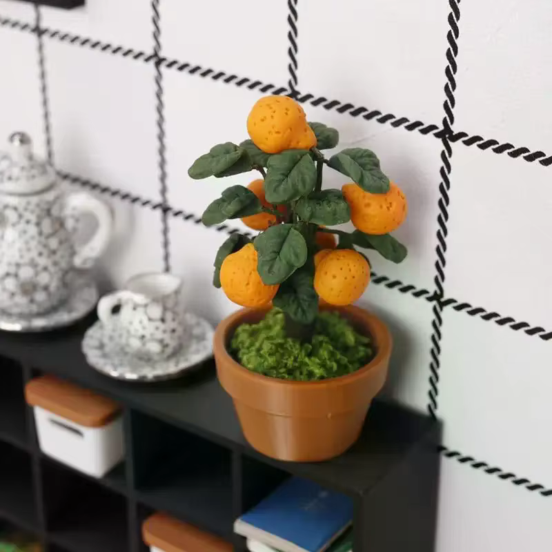 Miniature d'oranger en pot