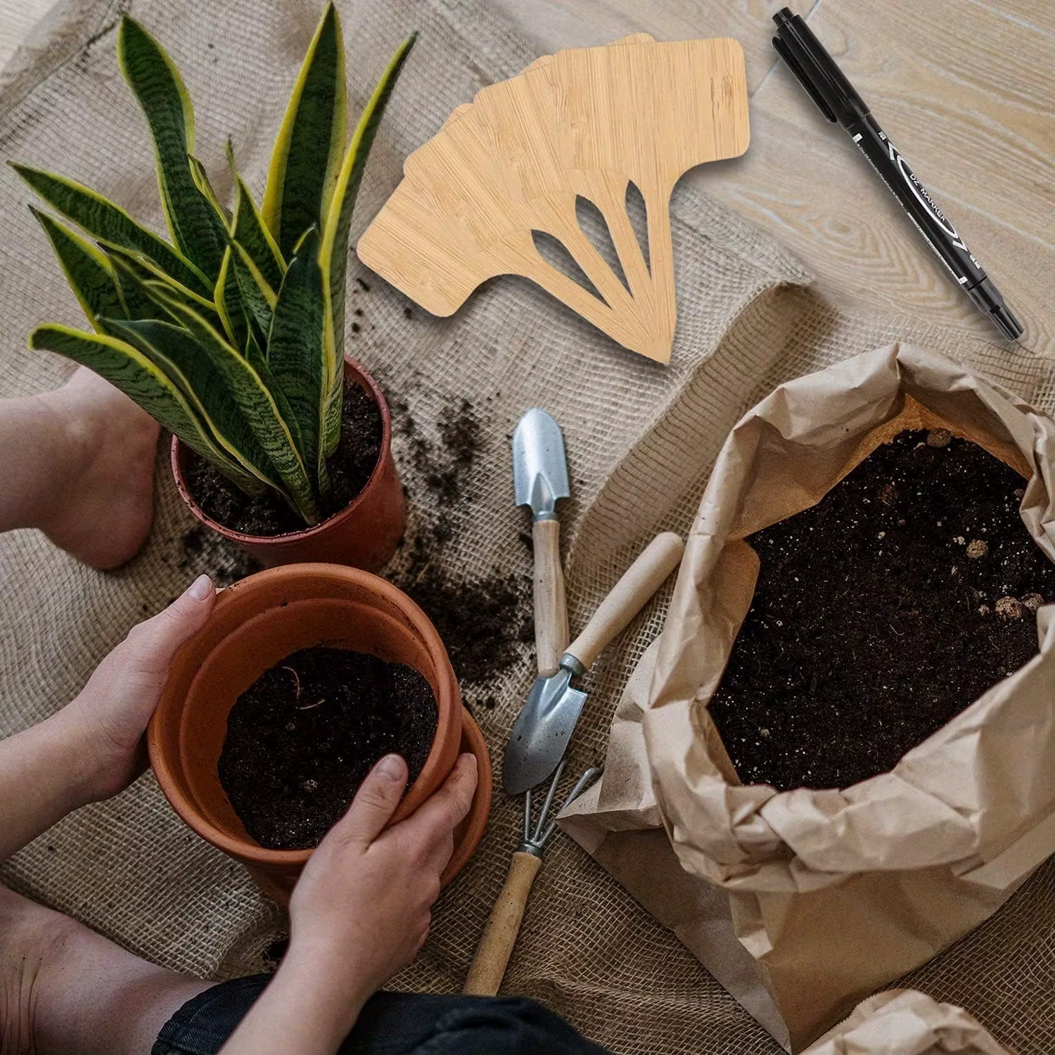 Étiquettes de plantes en bambou