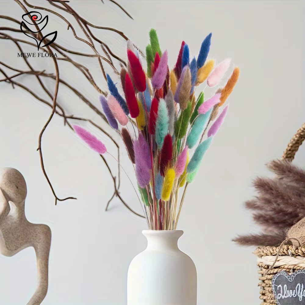 Vraies queues de lapin fleurs séchées mélangées 60 tiges Lagurus Ovatus herbe Pampas Bouquet pour mignon Boho maison mariage décor Photo accessoires