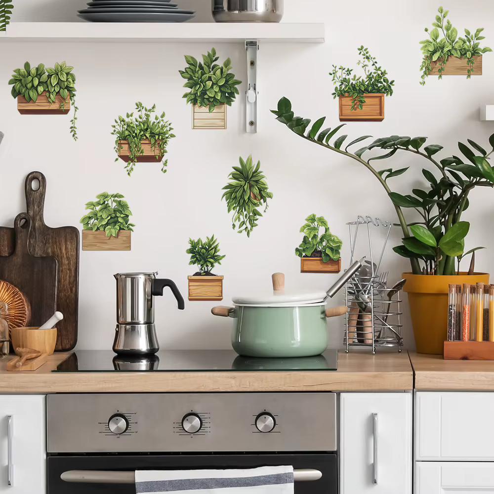 Plantes en pot de plantes vertes fraîches