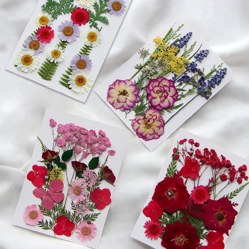 Ensemble de fleurs séchées 16-19 pièces