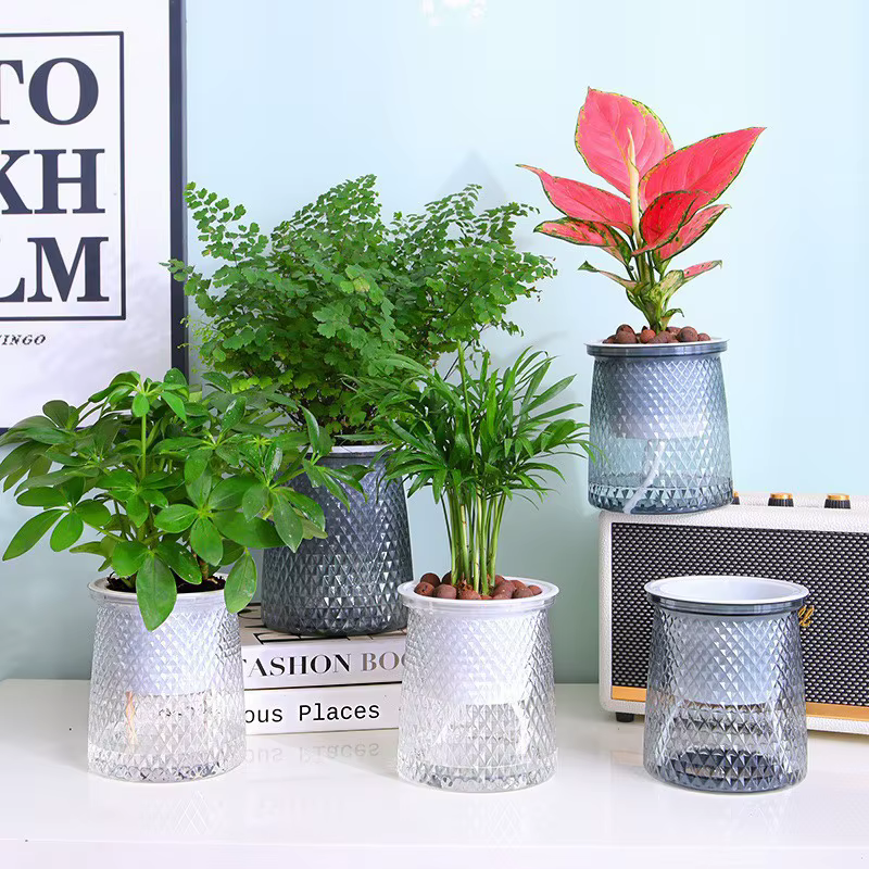 Pot de fleurs auto-arrosage pour plantes hydroponiques succulentes d'intérieur