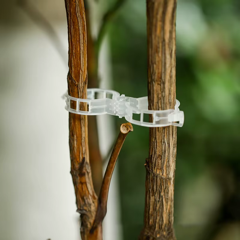 Clips de Support de plantes en plastique