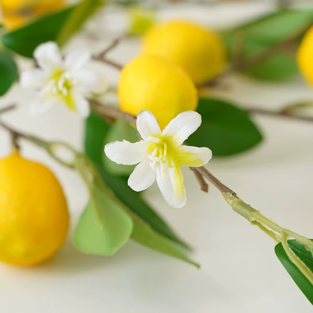 Simulation de fruits de citron frais