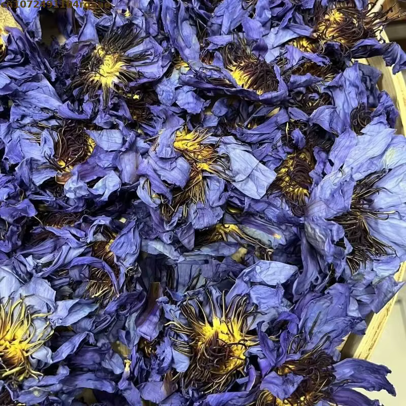 Fleur séchée de fleur de Lotus de qualité