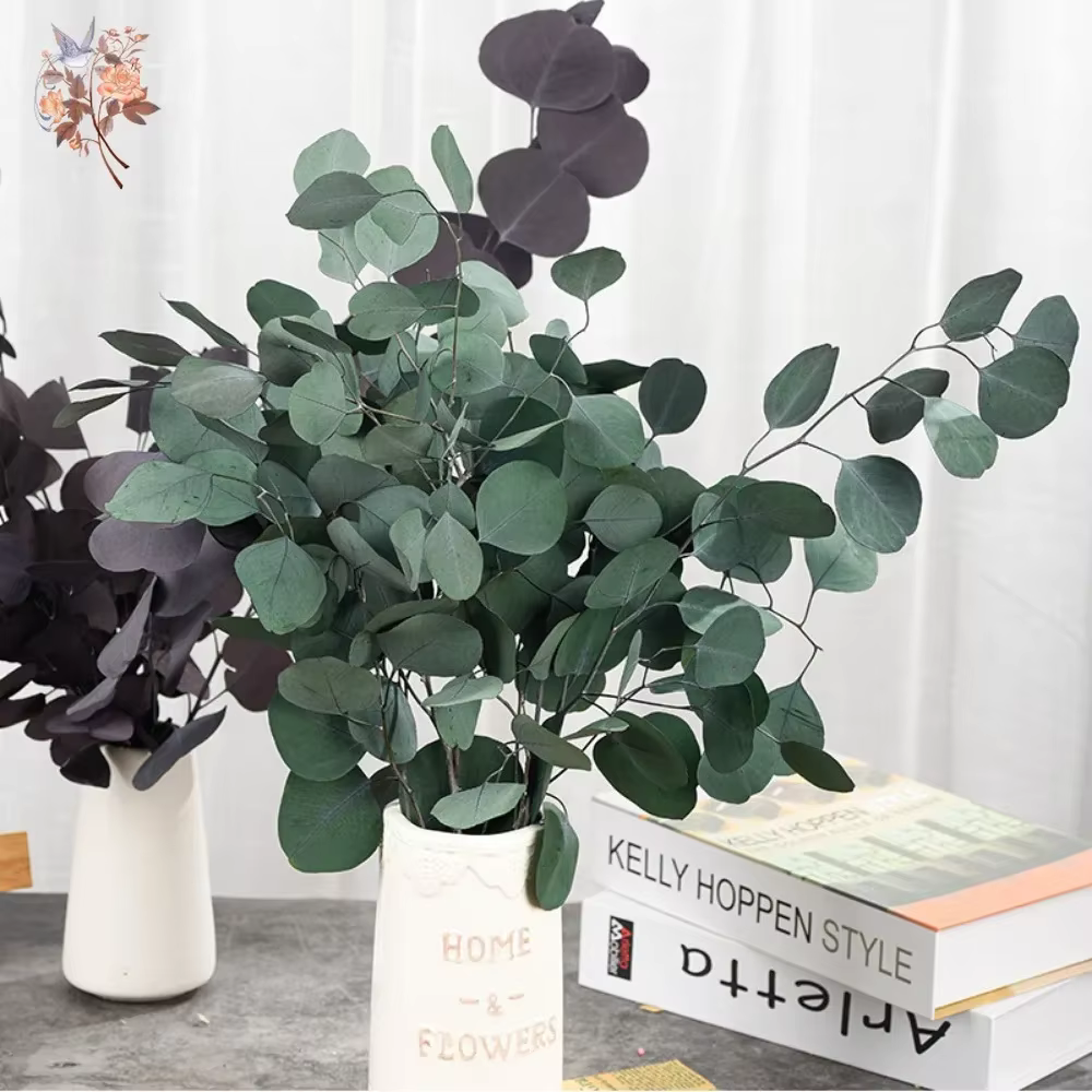 Bouquet de feuilles d'eucalyptus conservées