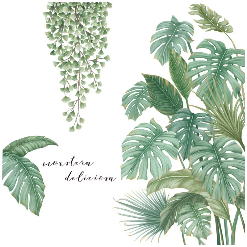 Autocollant mural plantes feuilles de Monstera tropicales
