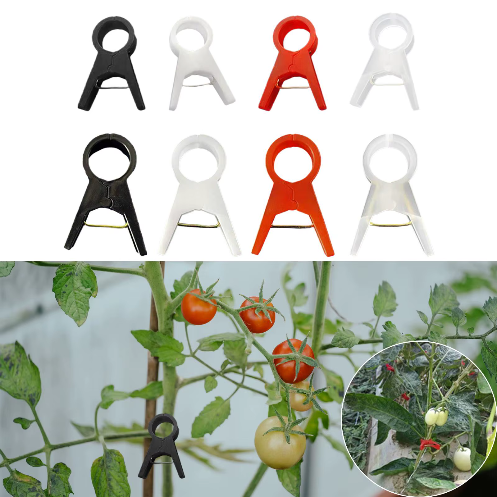 Clips pour plantes, 100 pièces, support pour tomate, vigne, concombre, fleur