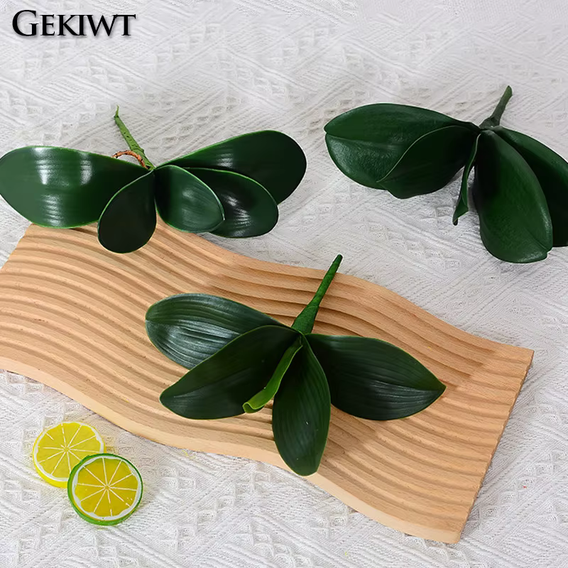Plantes artificielles : Feuilles de Phalaenopsis