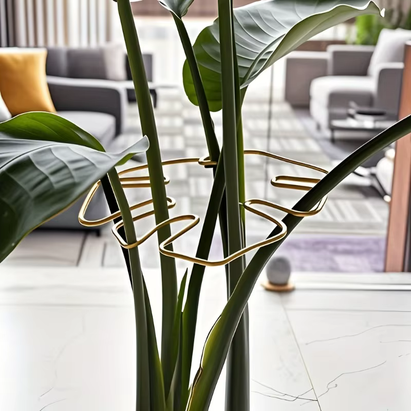 Support de tige de plante