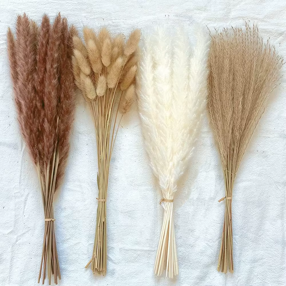 100 pièces/lot crème Pampas herbe moelleux chambre Phragmites décoration naturel lapin queue