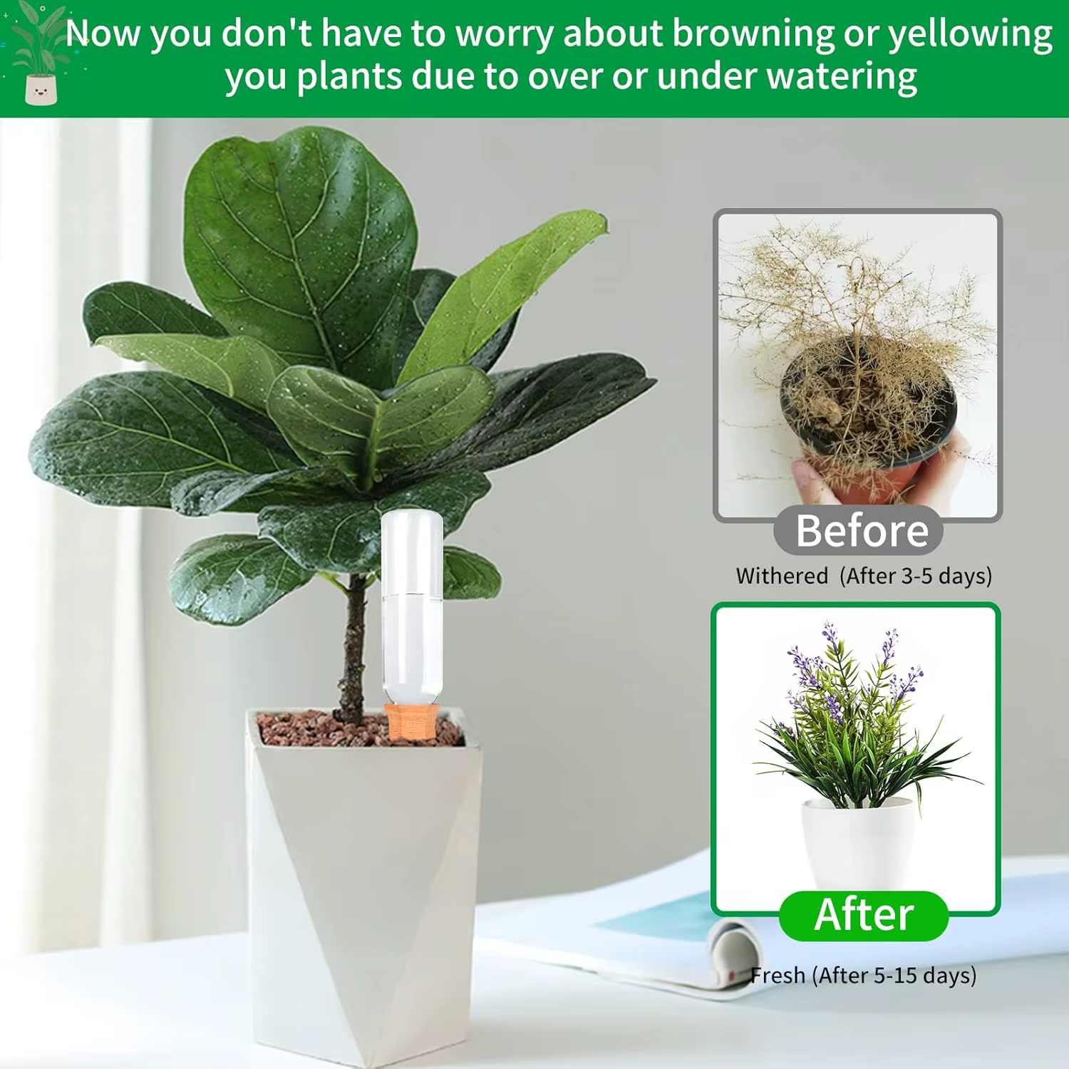 Arrosoirs automatiques en terre cuite pour plantes d'intérieur/extérieur