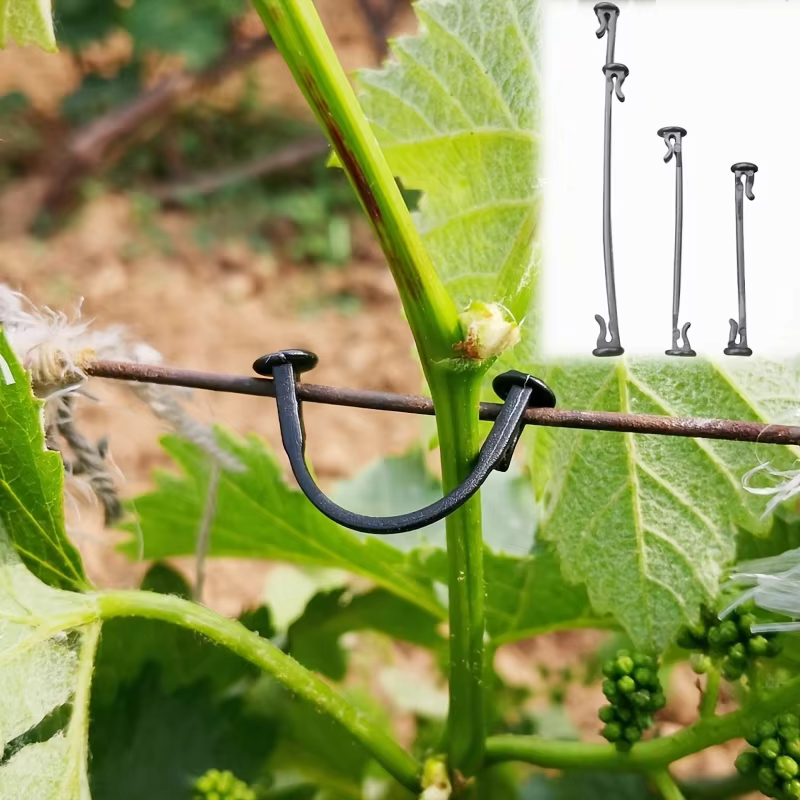 Clips de fixation et de maintien pour plantes grimpantes