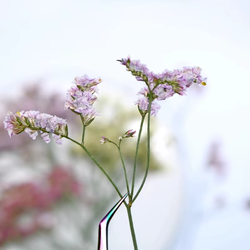 6 pièces, fleurs séchées pressées en herbe de cristal véritable
