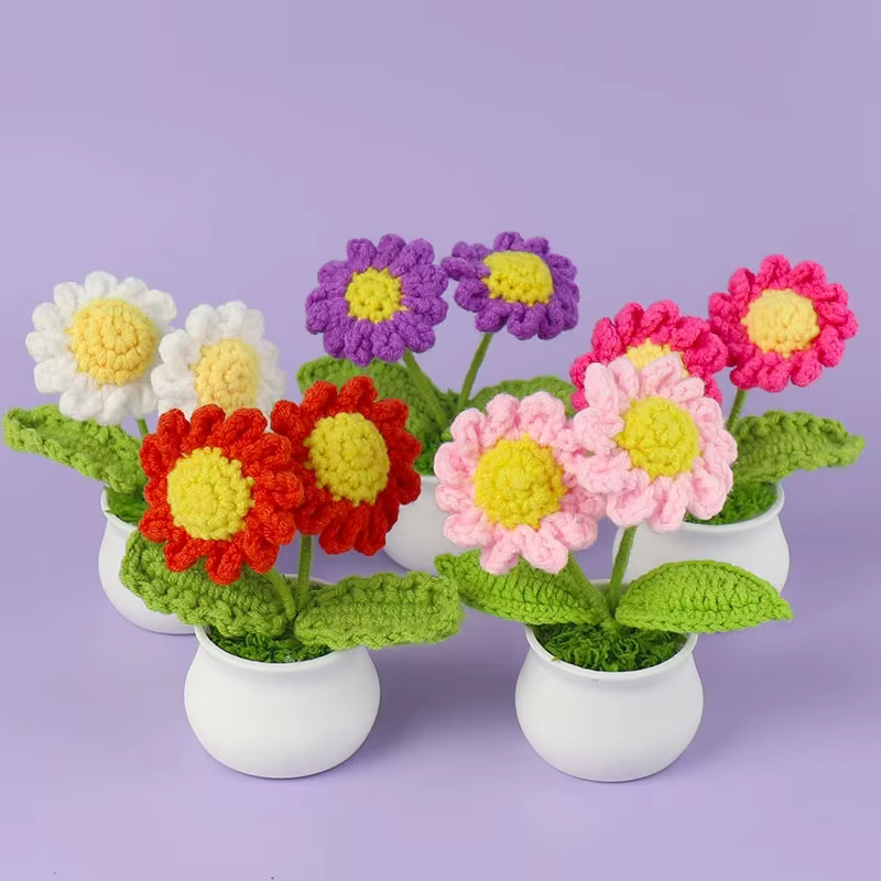 Mignon marguerite Crochet fleurs en pot tissé fleur créative