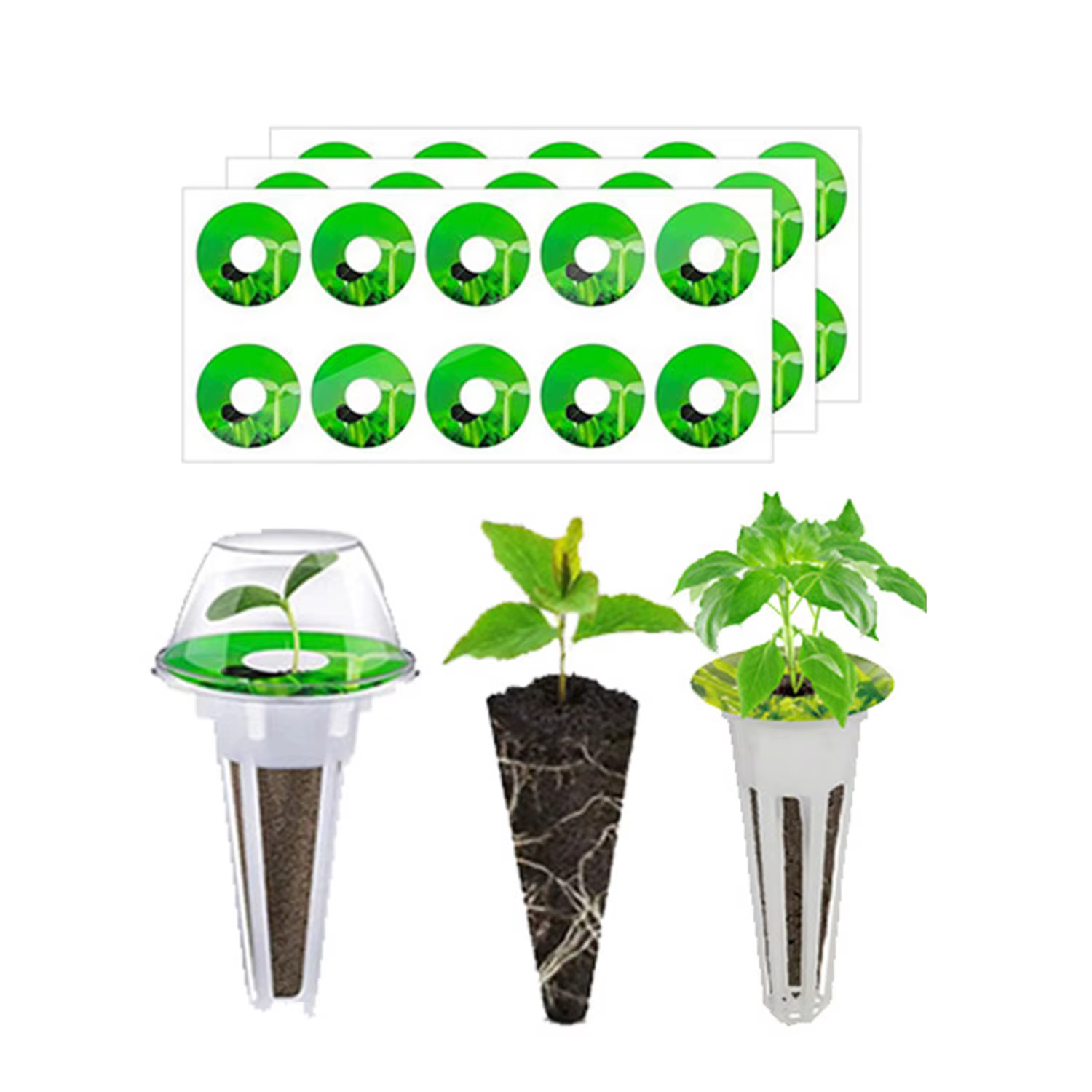 Cadres de plantation sans sol